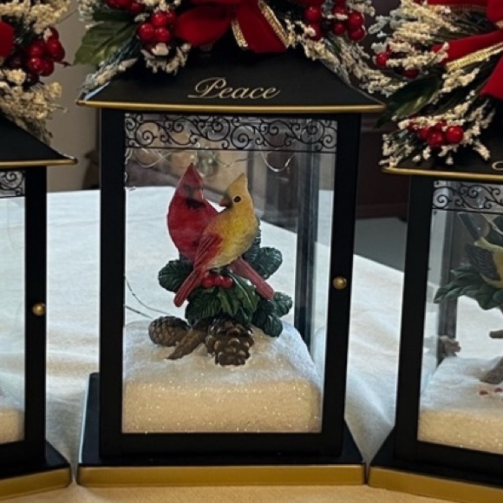 Beautiful decorative light up lantern with birds in snow.